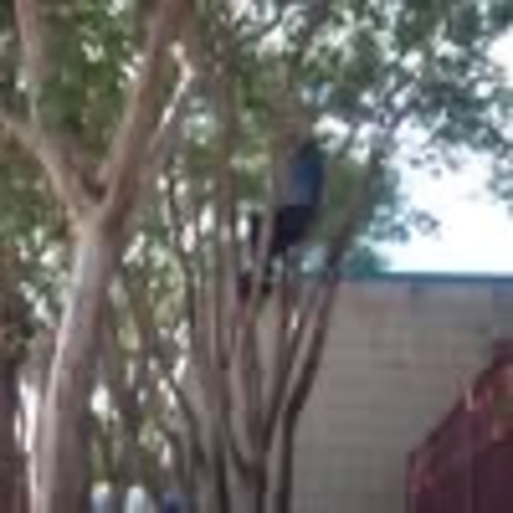 Meet your Posher, Reed